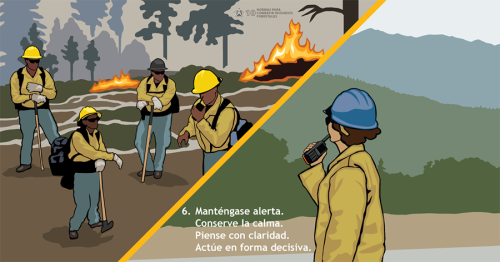 Mantenerse en alerta, y calmado(a), pensar claramente, y actuar decisivamente son componentes importantes de la toma de decisiones en incendios forestales. Esta Norma de Combate de incendio muestra a un supervisor proporcionando dirección y estableciendo la intención del líder para ayudar a una brigada que trabaja en un incendio creciente.