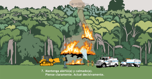 El Sistema de Mando de Incidentes (ICS por sus siglas en inglés) se basa en las comunicaciones interinstitucionales entre los recursos de incendio para una colaborativa supresión de incendios. Esta Norma para Combatir Incendio representa una variedad de recursos de supresión de incendios trabajando juntos para suprimir un incendio forestal eficientemente.