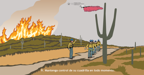 Construir y mantener la cohesión de una brigada promueve la confianza y liderazgo entre los miembros. Esta Norma para Combatir incendio demuestra una brigada siguiendo las instrucciones de su supervisor para evitar riesgos, incluyendo el tanque aéreo que se aproxima.