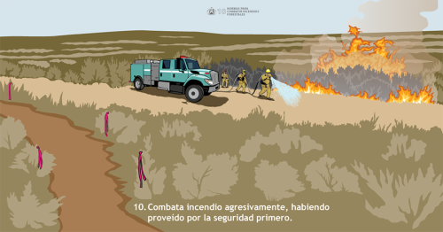 La seguridad de los combatientes y del público siempre es la principal prioridad de las agencias de manejo de incendios forestales. Esta Norma para Combatir Incendio refleja una brigada de motobomba suprimiendo un incendio forestal activo, con una ruta de escape presente claramente identificada.