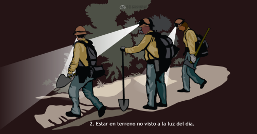 Los recursos de combate de incendios muy a menudo son llamados para responder a incendios durante la noche en terrenos desconocidos. Esta Situación que Grita Cuidado muestran a combatientes trabajando de noche en un área que ven por primera vez, lo cual requiere atención adicional a los alrededores y precaución mientras trabajan.