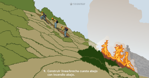 Construir línea/brecha de fuego cuesta abajo requiere atención especial a los factores de seguridad debido al potencial de propagación cuesta arriba rápida del fuego. Esta Situación que Grita Cuidado muestra a combatientes construyendo línea/brecha de fuego cuesta abajo sin mitigar primero los riesgos existentes.