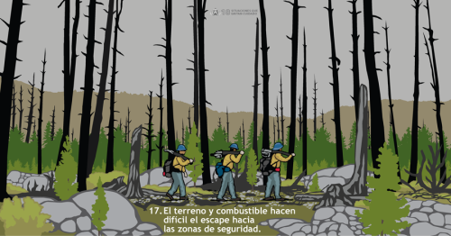 Rocas, árboles secos y caídos, combustibles pesado y el terreno inclinado pueden hacer que el escape a zonas de seguridad sea lento y difícil. Esta Situación que Grita Cuidado muestra a combatientes ya agobiados por el peso del equipo y herramientas de incendio intentan caminar en terreno irregular y combustibles pesado.