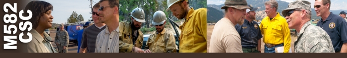 Agency Administrator Advanced Wildland Fire Course Steering Committee  header graphic. Decorative.