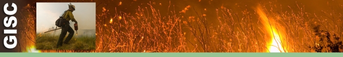 GISC header graphic.   Decorative.