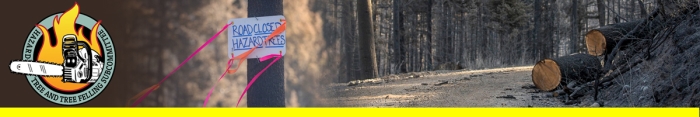 HTTFS header graphic. Decorative.
