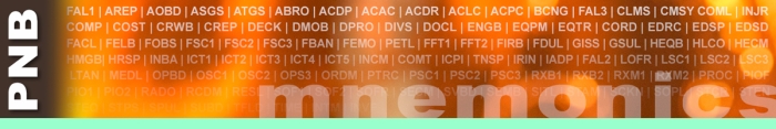 PNB header graphic.  Decorative.
