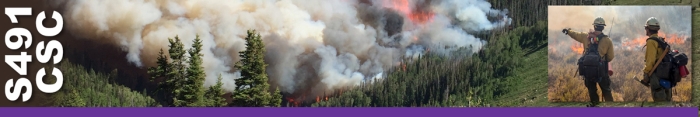 S491CSC header graphic. Decorative.