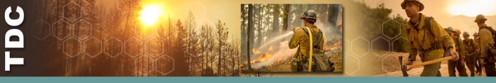 TDC header graphic.  Decorative.