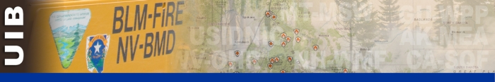 Image of a BLM Engine decal superimposed over a map and trees.  Decorative.