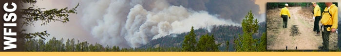 WFISC header graphic. Decorative.