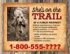 She's on the trail of a forest arsonist; photo of arson dog