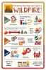 Tips on how to prevent wildfires while burning debris