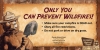 Smokey Bear, only you can prevent wildfires, make sure your campfire is dead out, obey fire restrictions, do not park or drive on dry grass