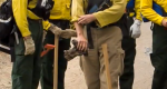 Photo showing firefighters holding tools with gloves and full nomex on.