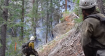 Two fire fighters looking at trees on hillside to access hazards.