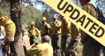 Photo of firefighters gathered around a tree learning about tree hazards.
