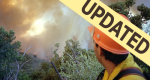 Photo of a firefighter looking through trees and brush at billowing smoke from the south canyon fire.